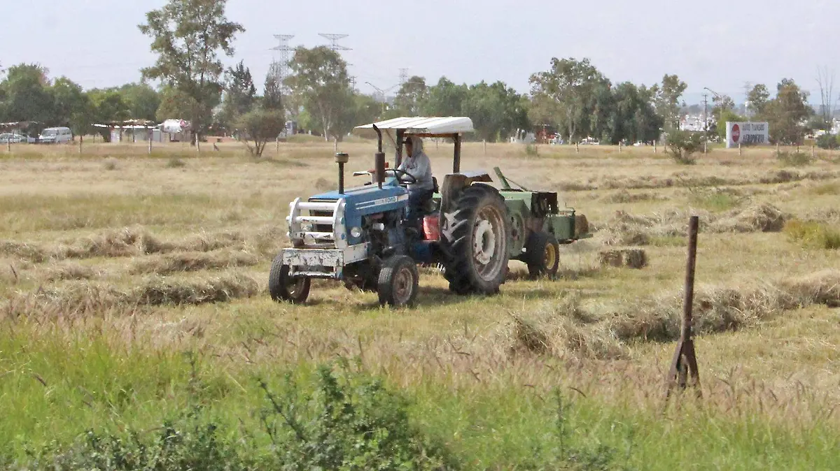 tractor campo